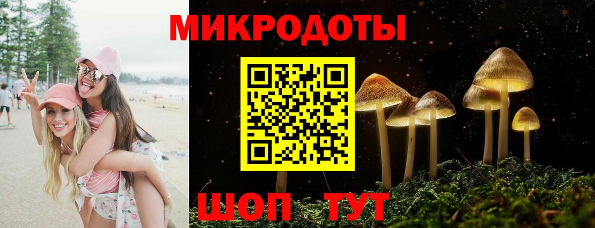 Гусь-Хрустальный  Псилоцибиновые грибы GOLDEN TEACHER  Вход с VPN 